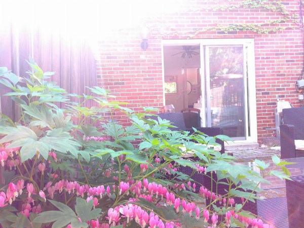 Margie Townhome Suites image 12