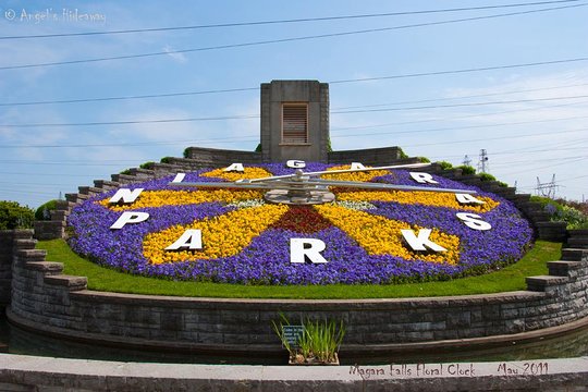 Tour image 8