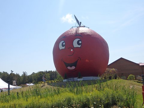 Tour image 6