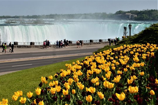 Tour image 8