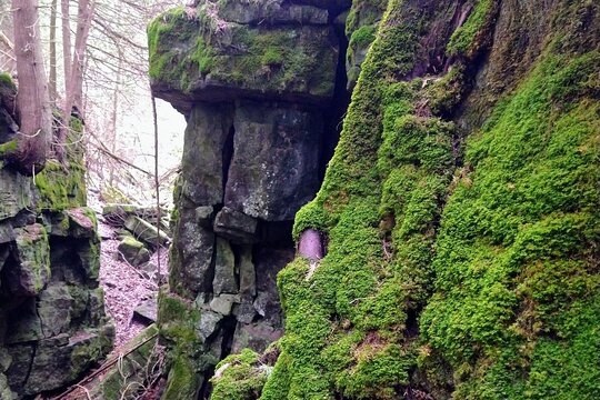 Tour image 8