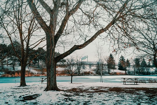 Tour image 14